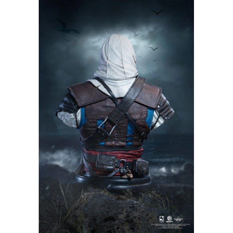 Pure Arts - Edward kenway 1/4 scale bust - Assassin's Creed Black Flag