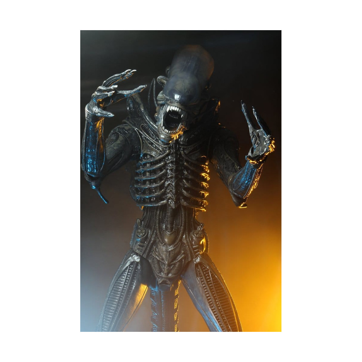 Neca Alien 1979 - Big Chap 1/4 - Kenner Box