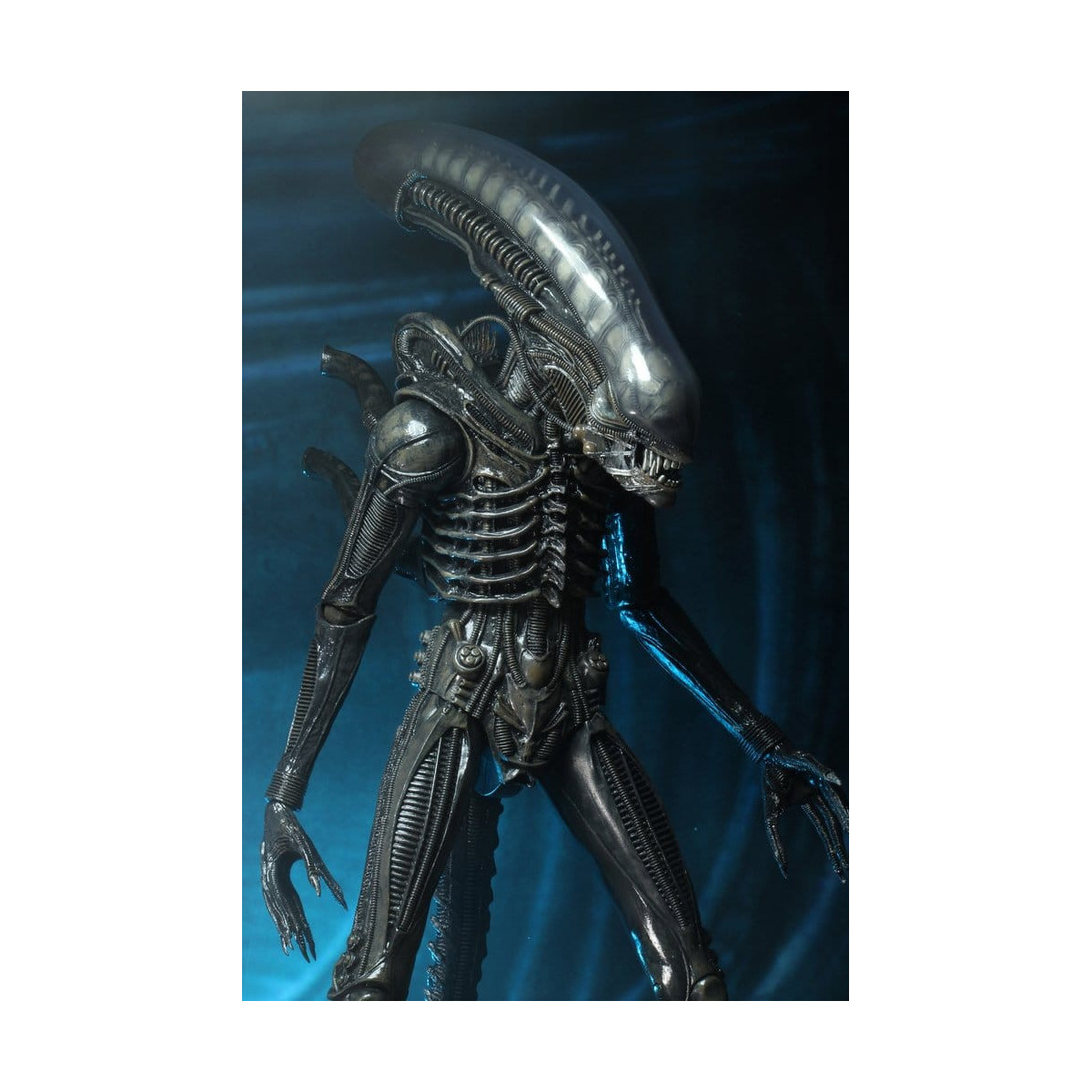 Neca Alien 1979 - Big Chap 1/4 - Kenner Box