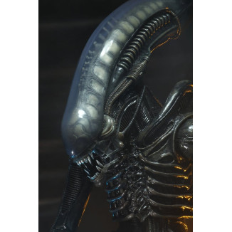 Neca Alien 1979 - Big Chap 1/4 - Kenner Box
