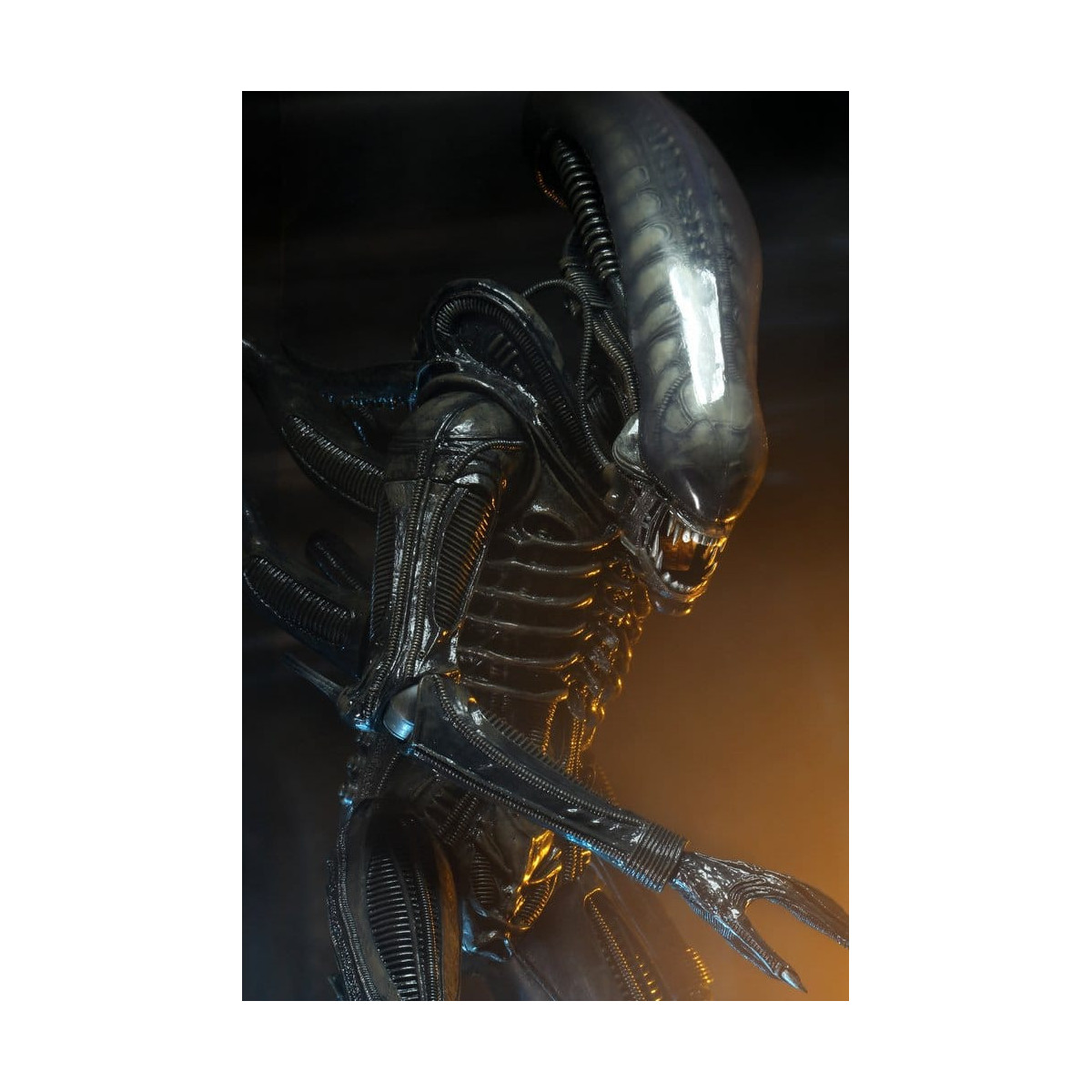 Neca Alien 1979 - Big Chap 1/4 - Kenner Box