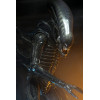 Neca Alien 1979 - Big Chap 1/4 - Kenner Box