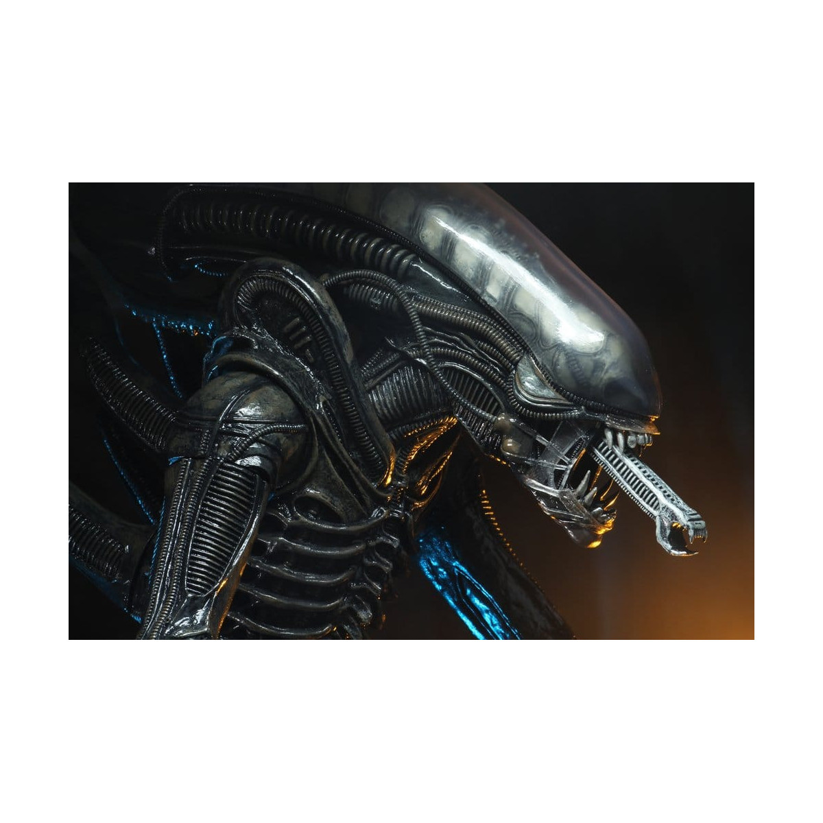Neca Alien 1979 - Big Chap 1/4 - Kenner Box
