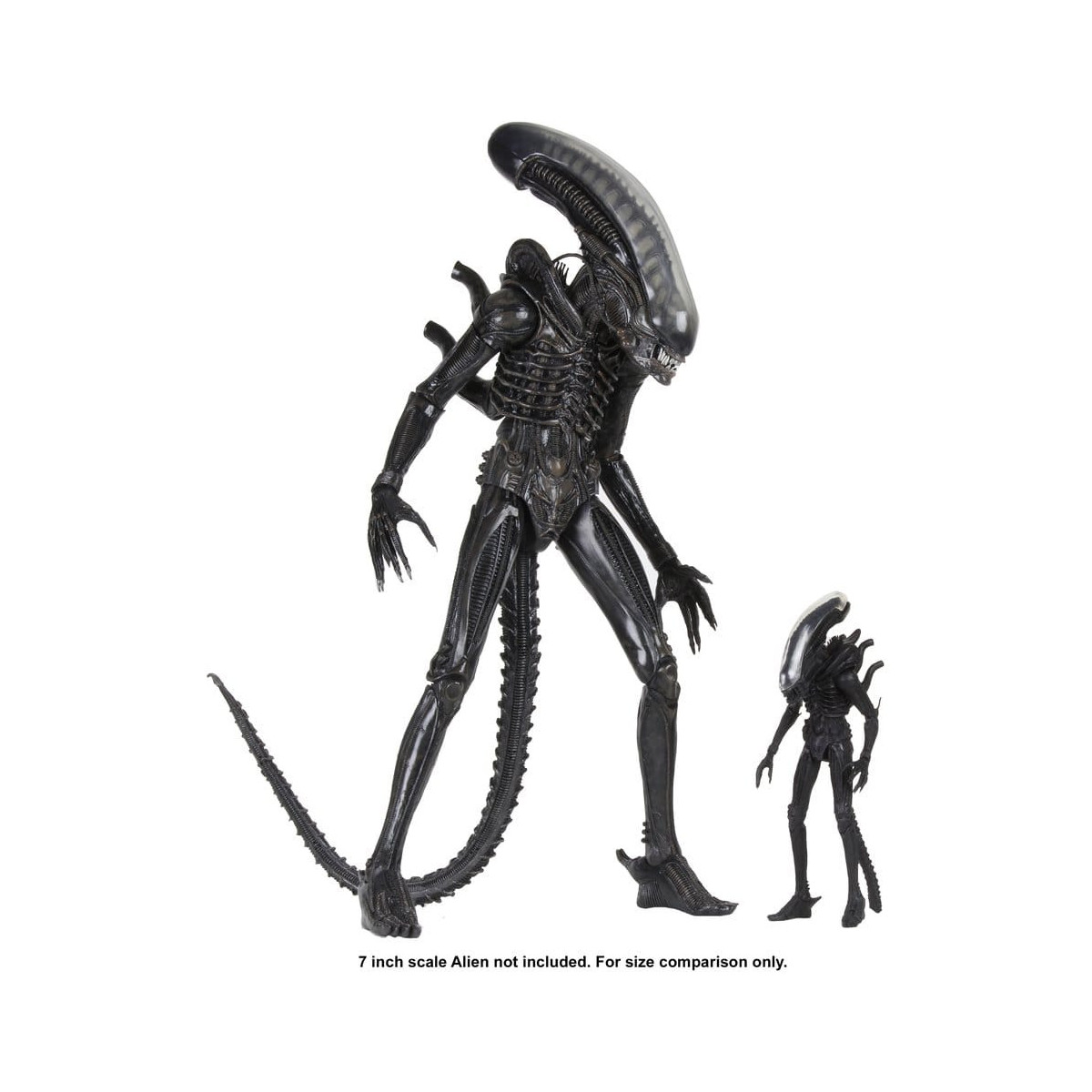 Neca Alien 1979 - Big Chap 1/4 - Kenner Box