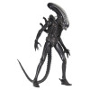 Neca Alien 1979 - Big Chap 1/4 - Kenner Box
