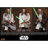 Hot Toys Star Wars The Phantom Menace - Qui-Gon Jinn 1/6 MMS880