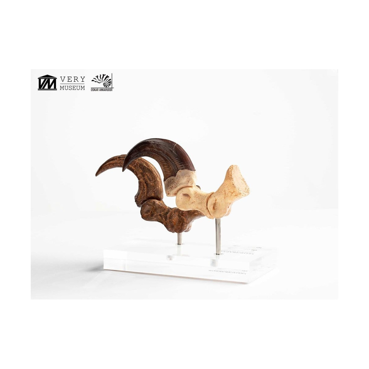 Toynami ECC Elite Creature Collectibles - Velociraptor Foot Claw and Fossil Claw Set - Jurassic Park