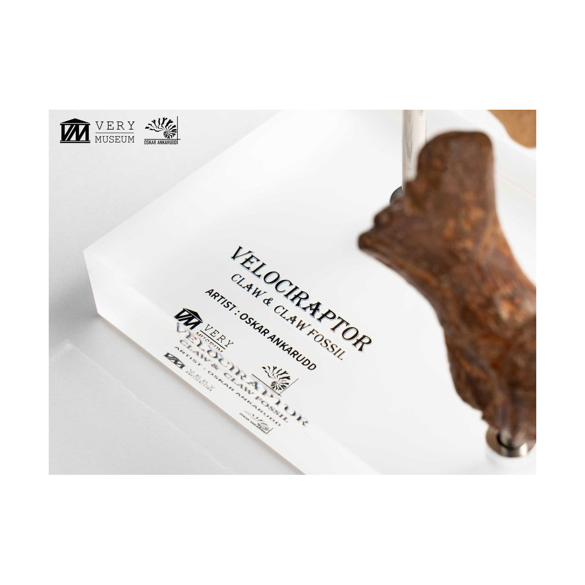 Toynami ECC Elite Creature Collectibles - Velociraptor Foot Claw and Fossil Claw Set - Jurassic Park