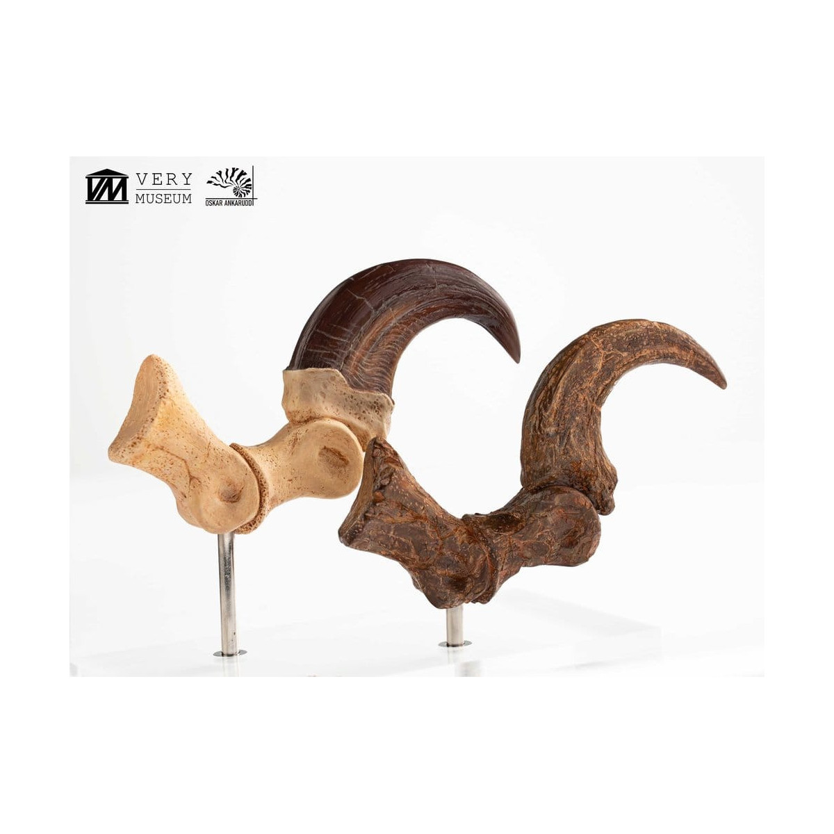 Toynami ECC Elite Creature Collectibles - Velociraptor Foot Claw and Fossil Claw Set - Jurassic Park