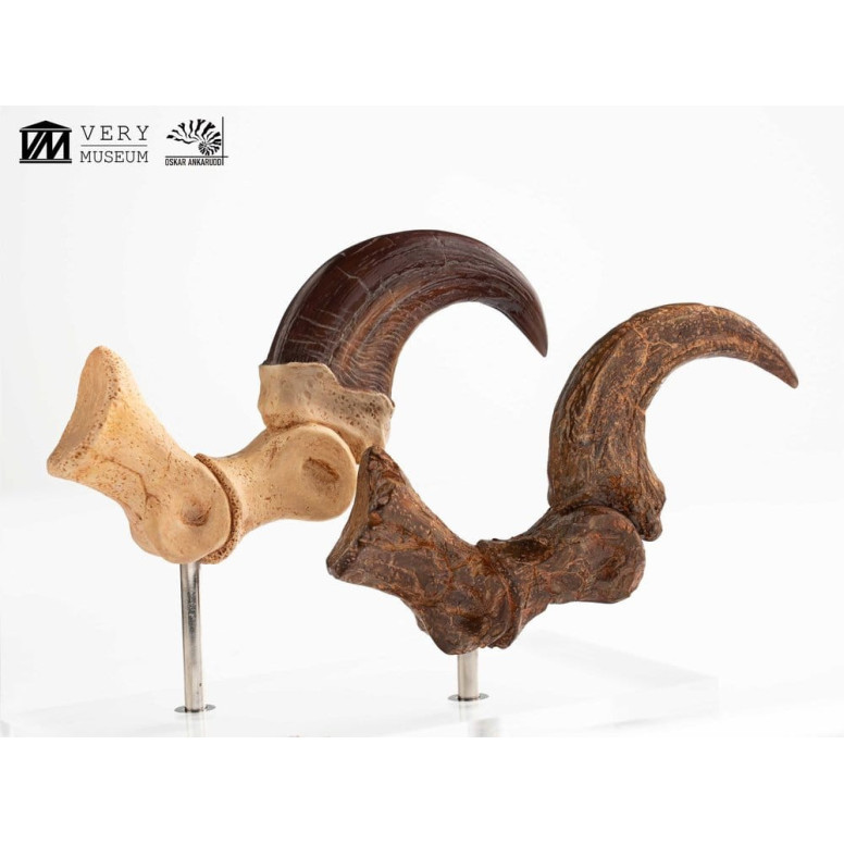 Toynami ECC Elite Creature Collectibles - Velociraptor Foot Claw and Fossil Claw Set - Jurassic Park