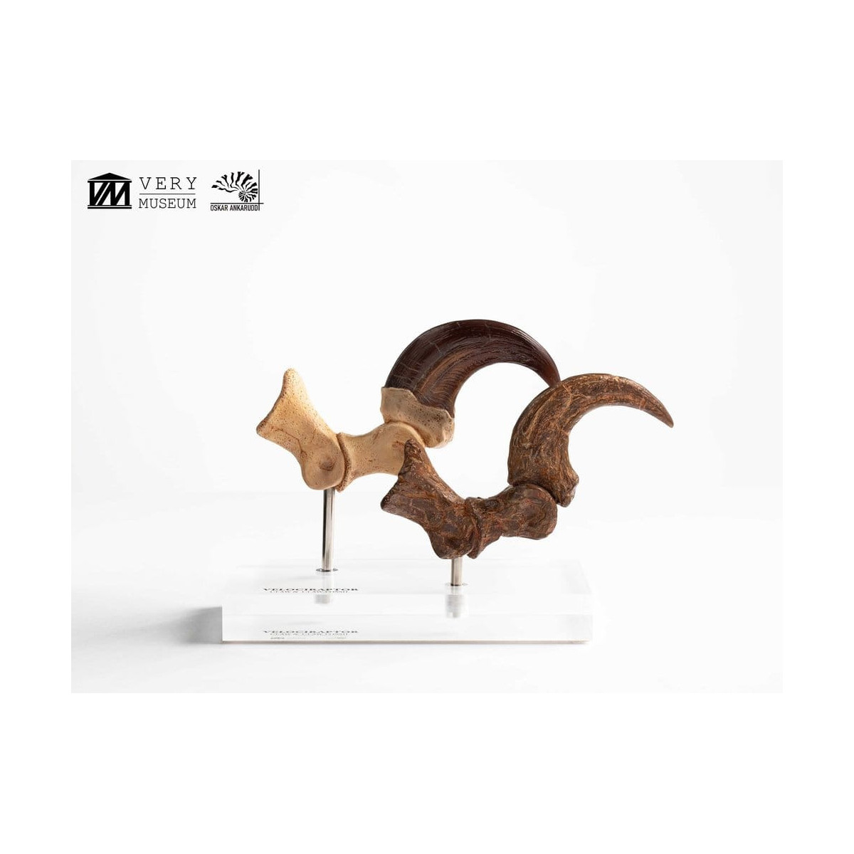 Toynami ECC Elite Creature Collectibles - Velociraptor Foot Claw and Fossil Claw Set - Jurassic Park