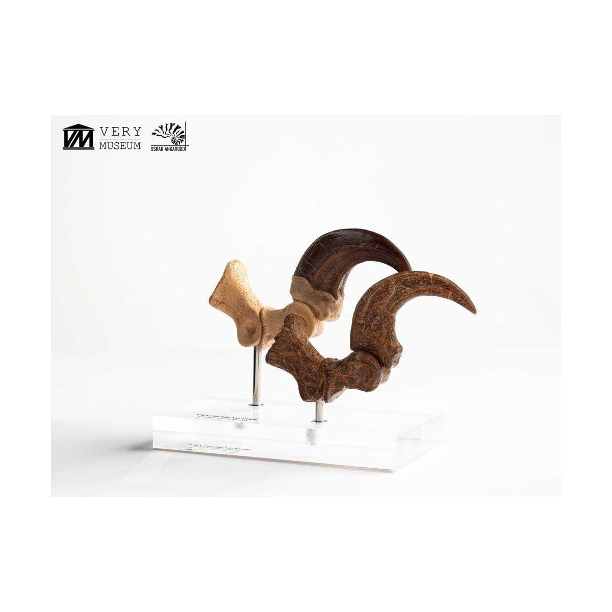 Toynami ECC Elite Creature Collectibles - Velociraptor Foot Claw and Fossil Claw Set - Jurassic Park