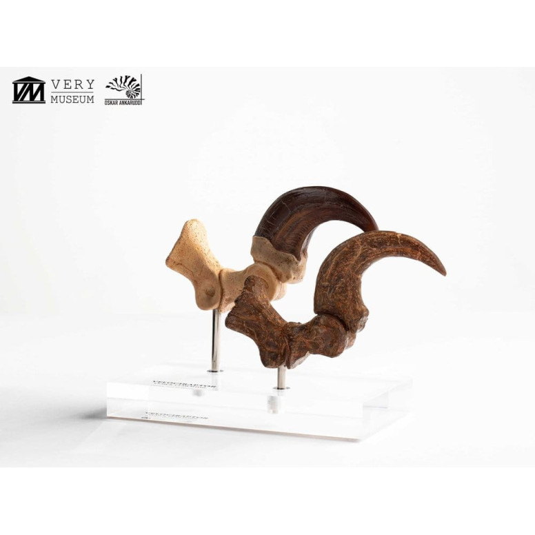Toynami ECC Elite Creature Collectibles - Velociraptor Foot Claw and Fossil Claw Set - Jurassic Park