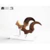 Toynami ECC Elite Creature Collectibles - Velociraptor Foot Claw and Fossil Claw Set - Jurassic Park