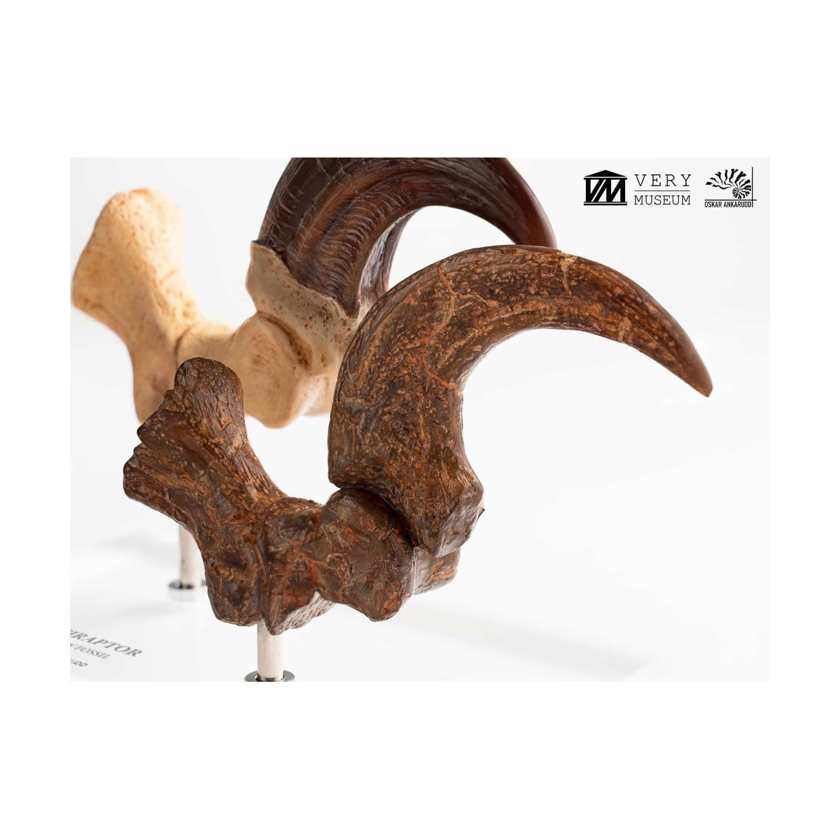 Toynami ECC Elite Creature Collectibles - Velociraptor Foot Claw and Fossil Claw Set - Jurassic Park