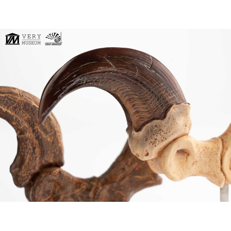 Toynami ECC Elite Creature Collectibles - Velociraptor Foot Claw and Fossil Claw Set - Jurassic Park