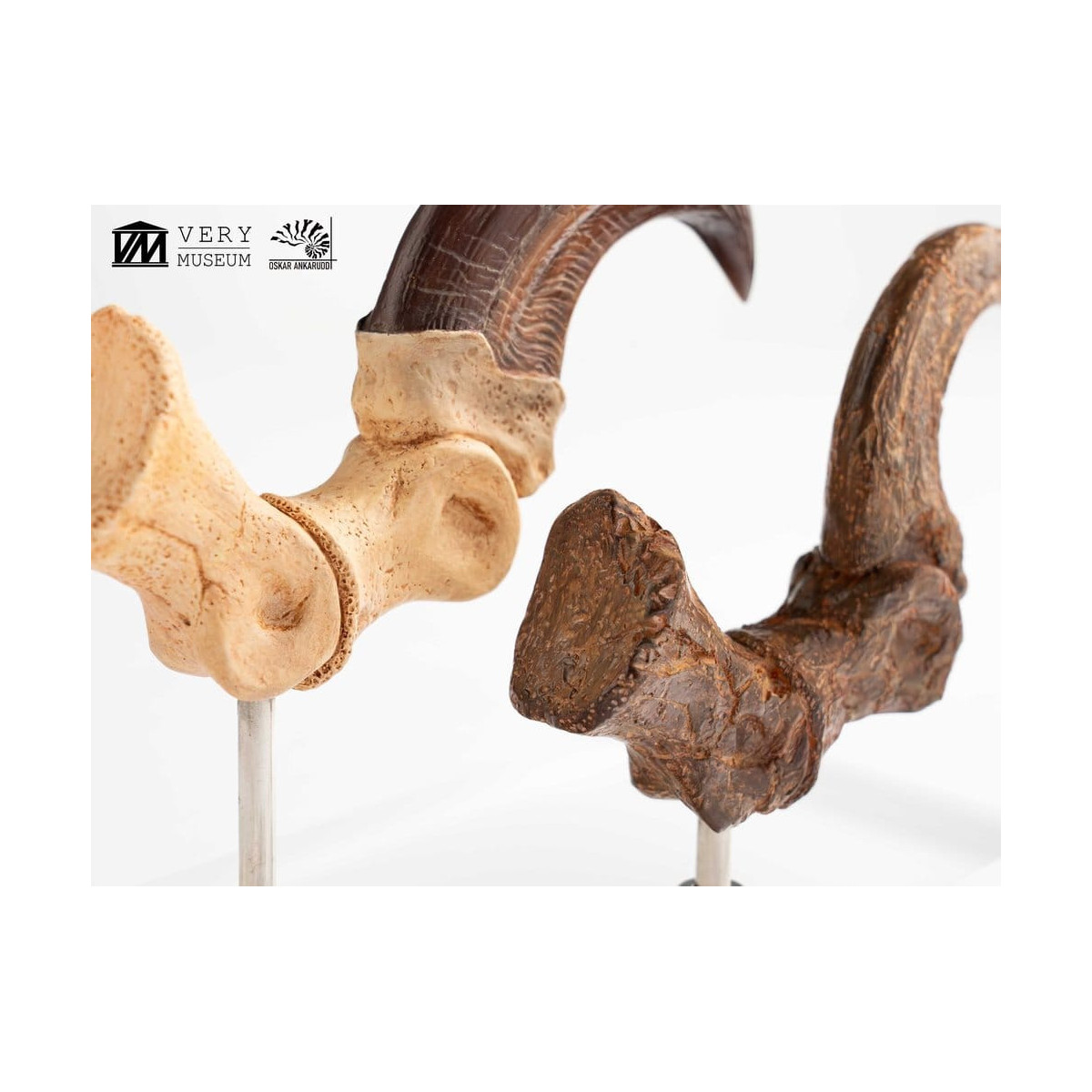 Toynami ECC Elite Creature Collectibles - Velociraptor Foot Claw and Fossil Claw Set - Jurassic Park