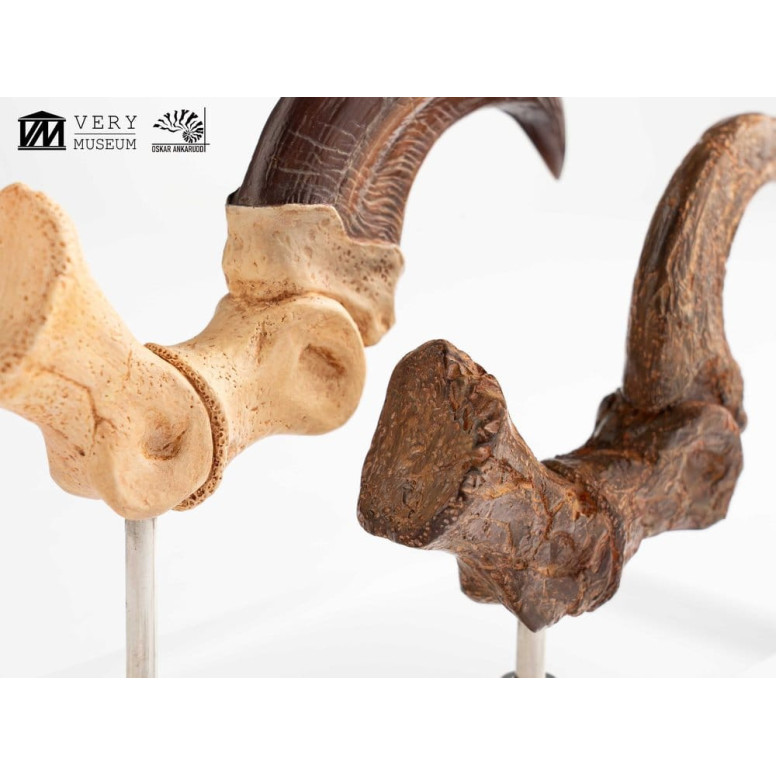Toynami ECC Elite Creature Collectibles - Velociraptor Foot Claw and Fossil Claw Set - Jurassic Park