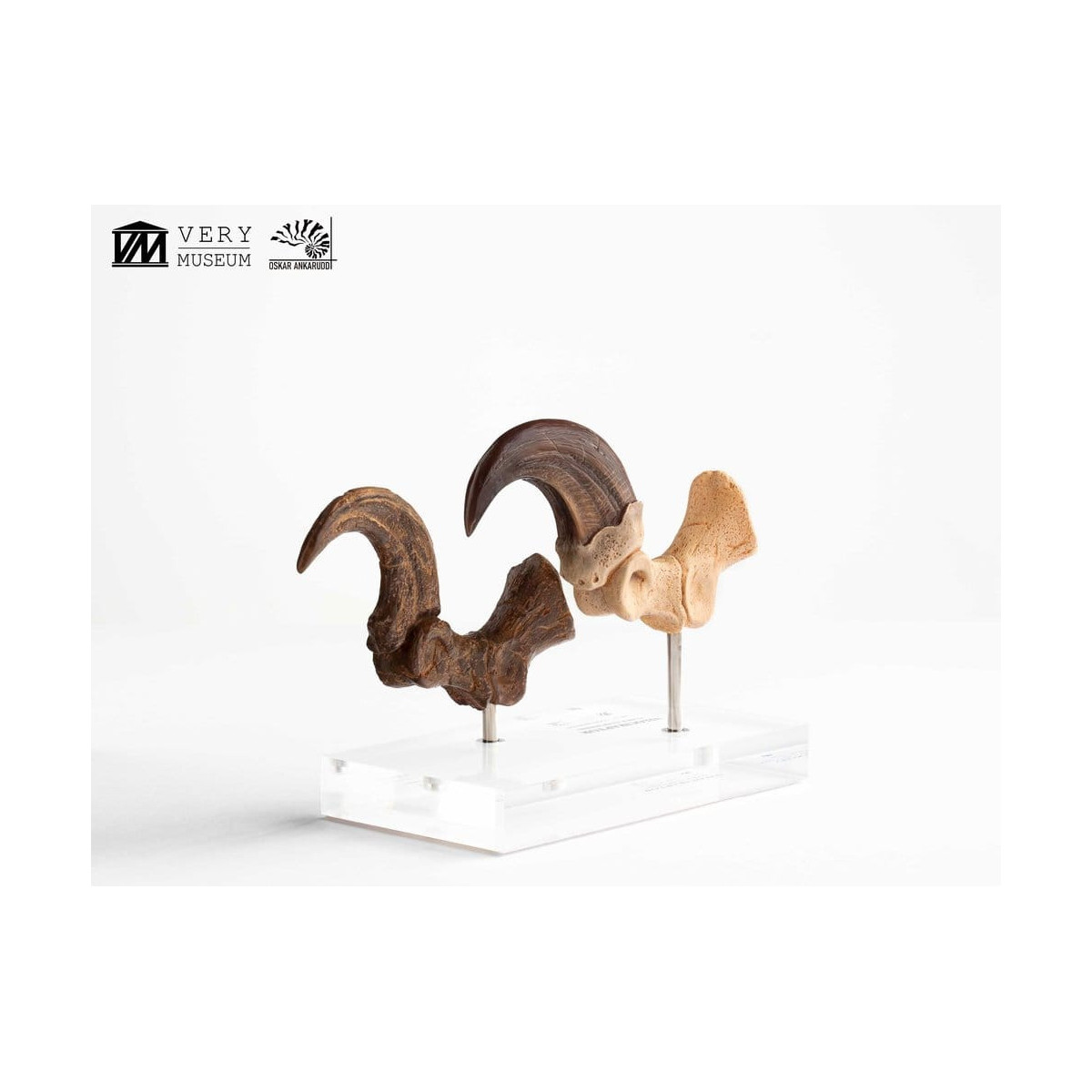 Toynami ECC Elite Creature Collectibles - Velociraptor Foot Claw and Fossil Claw Set - Jurassic Park
