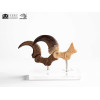 Toynami ECC Elite Creature Collectibles - Velociraptor Foot Claw and Fossil Claw Set - Jurassic Park