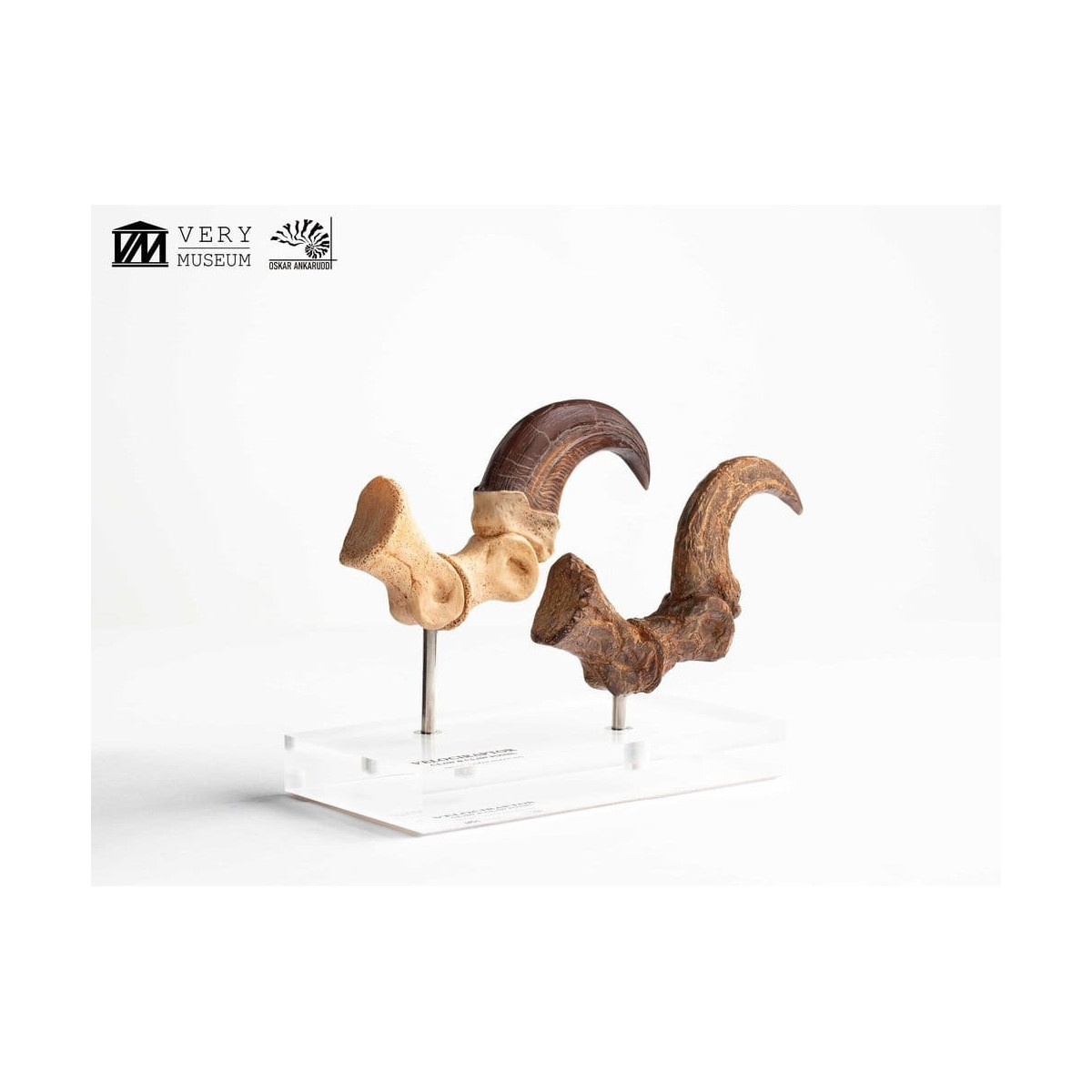 Toynami ECC Elite Creature Collectibles - Velociraptor Foot Claw and Fossil Claw Set - Jurassic Park