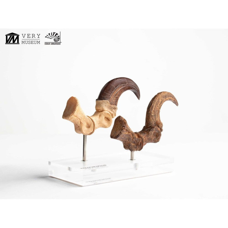 Toynami ECC Elite Creature Collectibles - Velociraptor Foot Claw and Fossil Claw Set - Jurassic Park