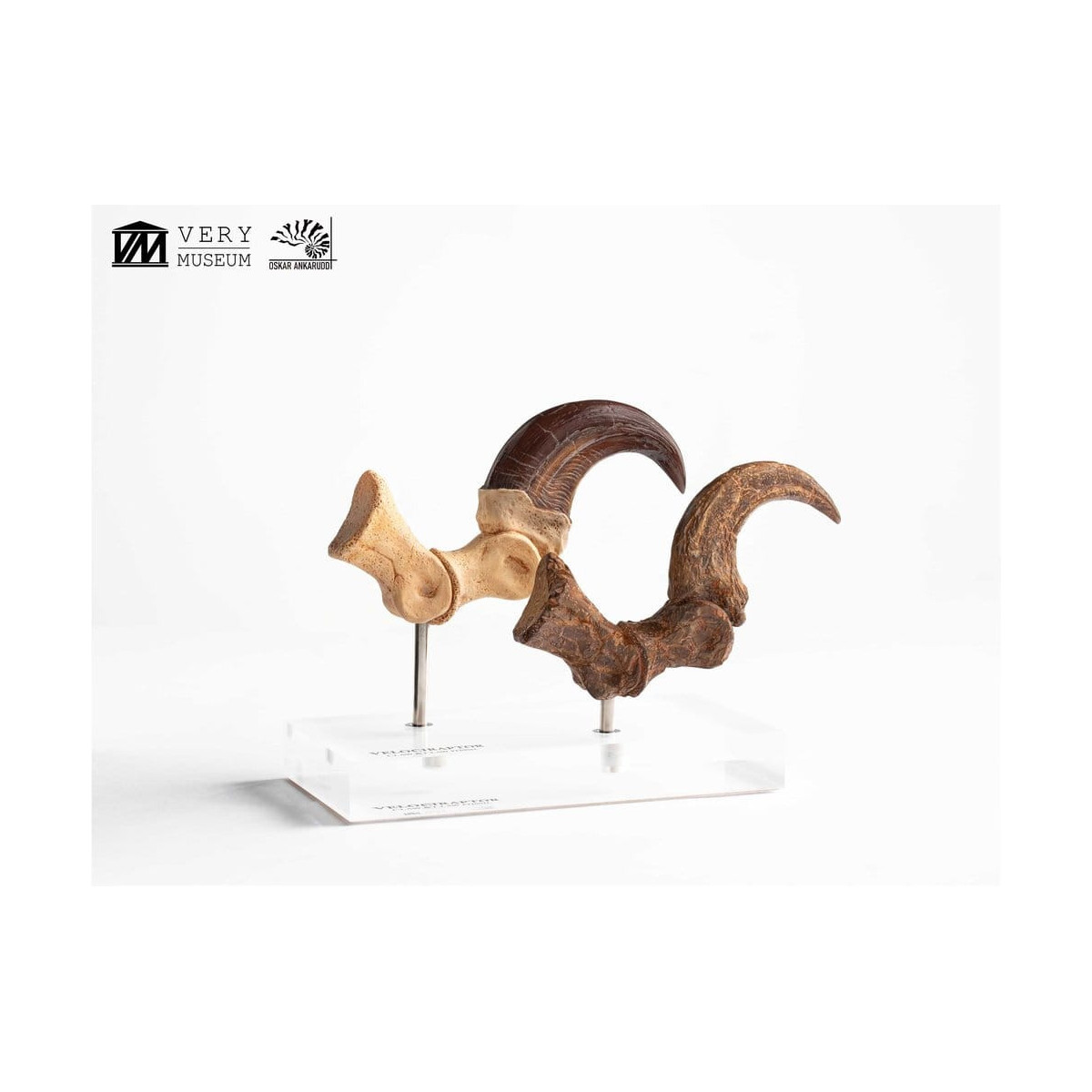 Toynami ECC Elite Creature Collectibles - Velociraptor Foot Claw and Fossil Claw Set - Jurassic Park