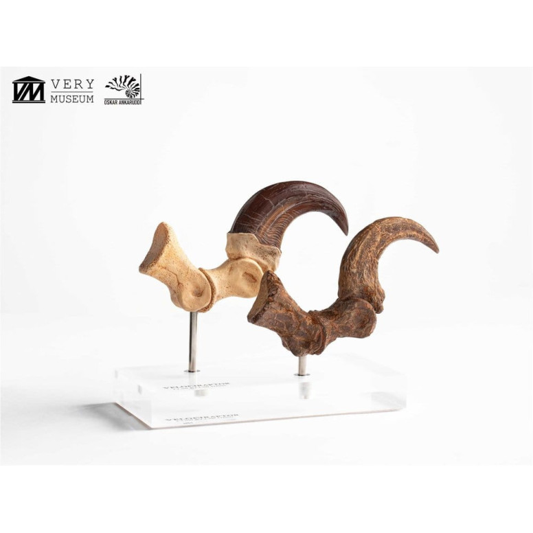 Toynami ECC Elite Creature Collectibles - Velociraptor Foot Claw and Fossil Claw Set - Jurassic Park
