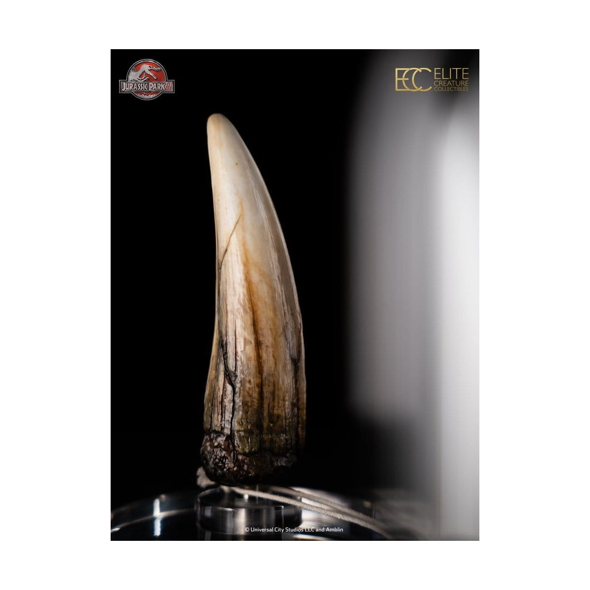 ECC Elite Creature Collectibles - Jurassic Park 3 Replica 1/1 Spinosaur Tooth