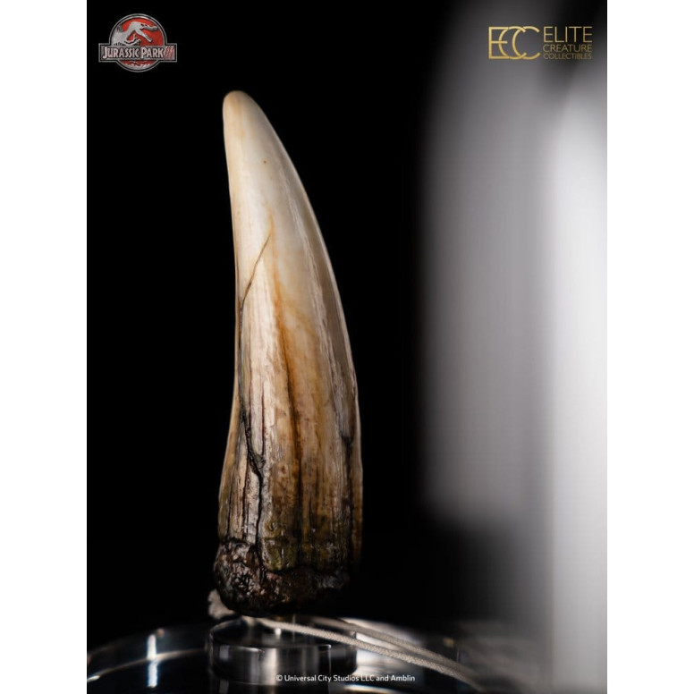 ECC Elite Creature Collectibles - Jurassic Park 3 Replica 1/1 Spinosaur Tooth