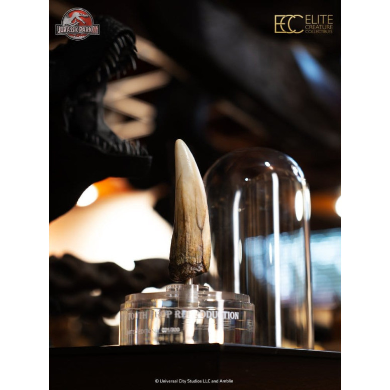 ECC Elite Creature Collectibles - Jurassic Park 3 Replica 1/1 Spinosaur Tooth