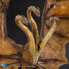 HIYA TOYS - Exquisite Basic Series 1/12 - King Ghidorah 2.0 - Godzilla King of the Monsters (2019)