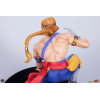 PCS - Street Fighter: Street Jam - Ken & Vega 1:10 Scale Statue Set