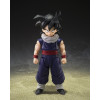Bandai Tamashii - Son Gohan (Z-Fighters) (Limited Edition Z-Fighters Group Base Ver. A) - S.H.Figuarts