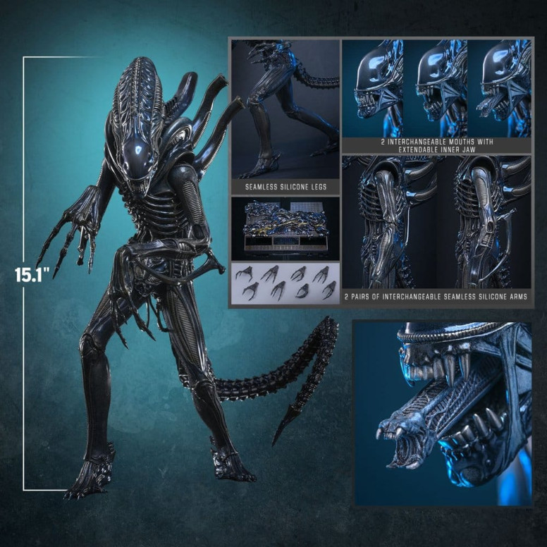 Hot Toys - Aliens  -  Alien Warrior v2 MMS 1/6