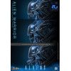 Hot Toys - Aliens  -  Alien Warrior v2 MMS 1/6