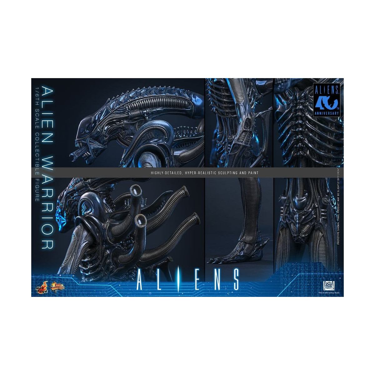 Hot Toys - Aliens  -  Alien Warrior v2 MMS 1/6