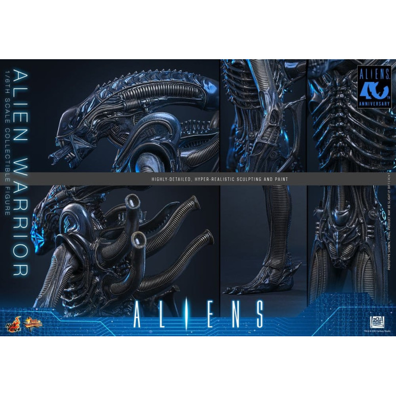 Hot Toys - Aliens  -  Alien Warrior v2 MMS 1/6