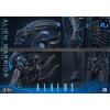 Hot Toys - Aliens  -  Alien Warrior v2 MMS 1/6