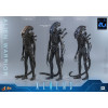 Hot Toys - Aliens  -  Alien Warrior v2 MMS 1/6