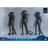 Hot Toys - Aliens  -  Alien Warrior v2 MMS 1/6