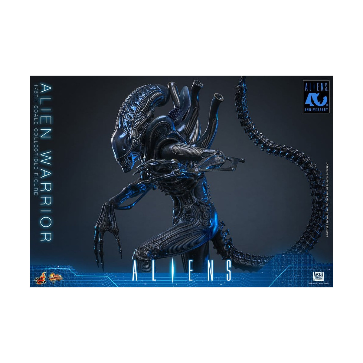 Hot Toys - Aliens  -  Alien Warrior v2 MMS 1/6