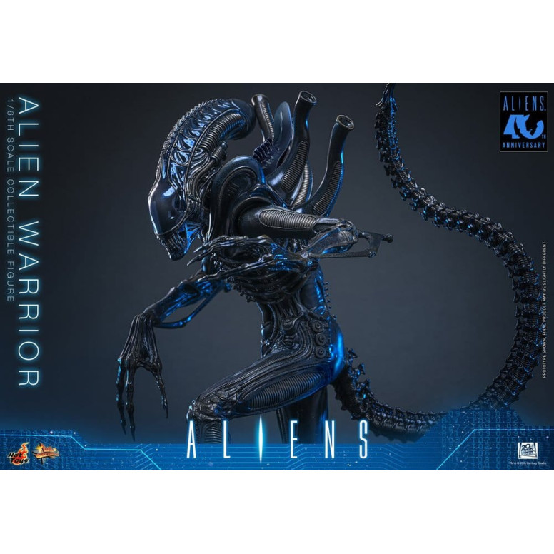 Hot Toys - Aliens  -  Alien Warrior v2 MMS 1/6