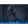 Hot Toys - Aliens  -  Alien Warrior v2 MMS 1/6