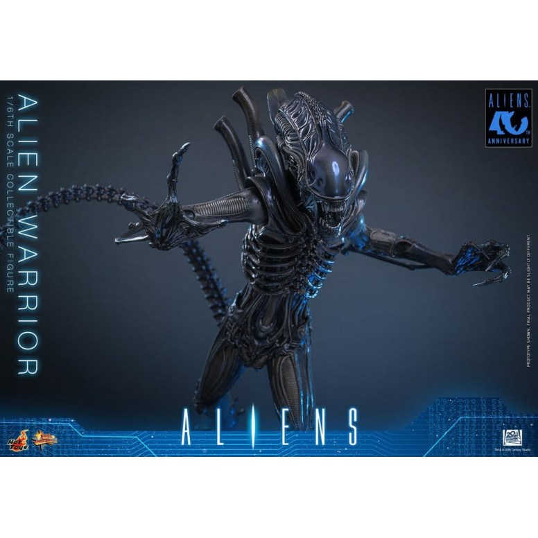 Hot Toys - Aliens  -  Alien Warrior v2 MMS 1/6