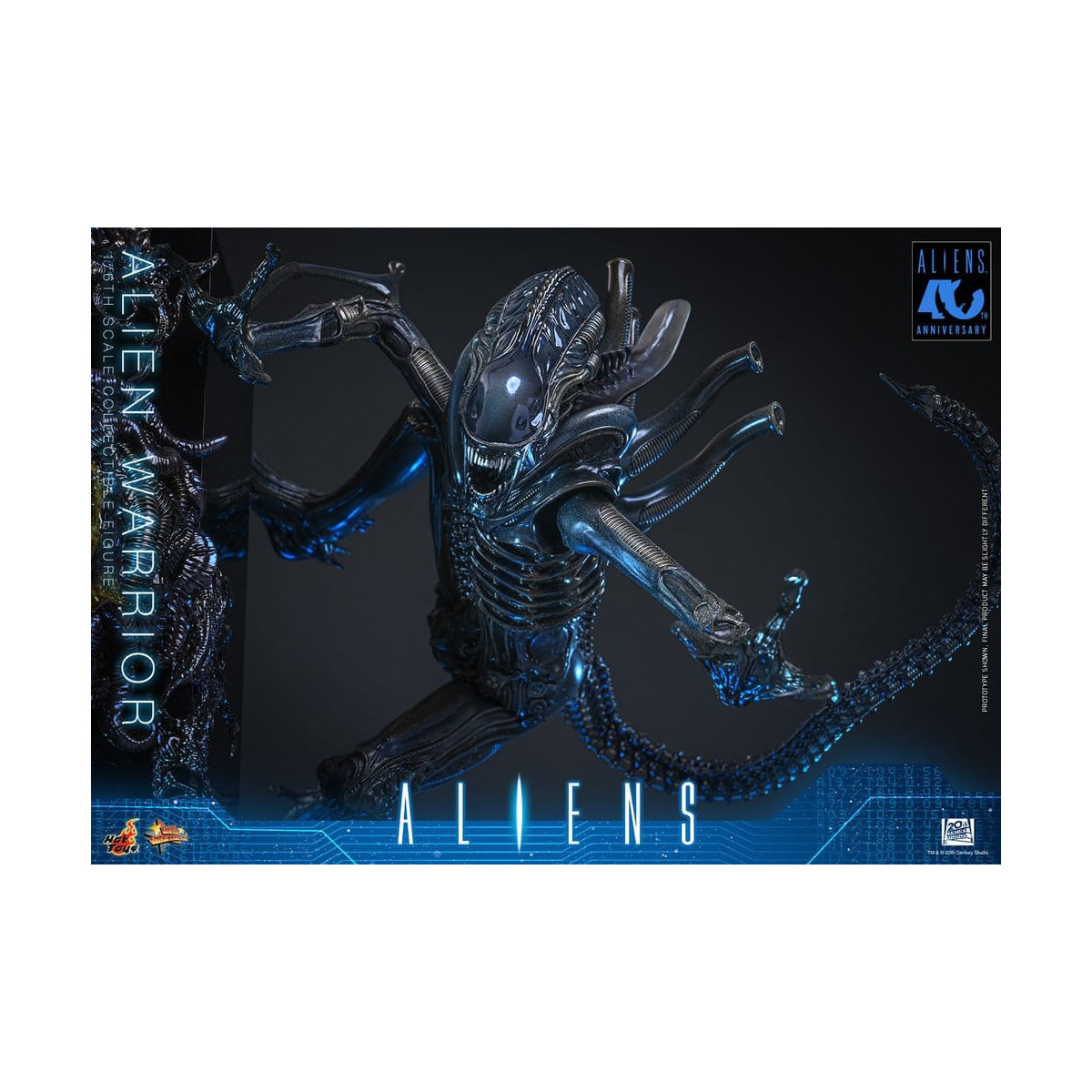 Hot Toys - Aliens  -  Alien Warrior v2 MMS 1/6