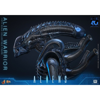 Hot Toys - Aliens  -  Alien Warrior v2 MMS 1/6