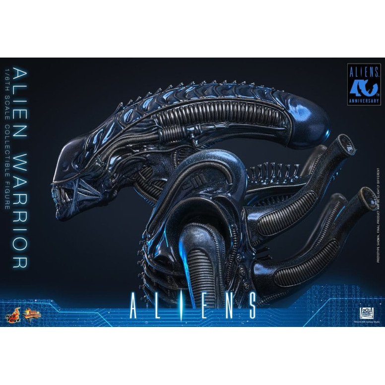 Hot Toys - Aliens  -  Alien Warrior v2 MMS 1/6