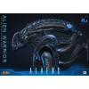 Hot Toys - Aliens  -  Alien Warrior v2 MMS 1/6