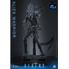 Hot Toys - Aliens  -  Alien Warrior v2 MMS 1/6